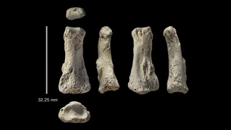 Encuentran en Arabia Saudí un dedo de hace 88.000 años