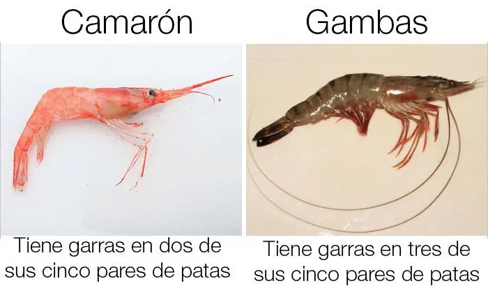 Cosas
