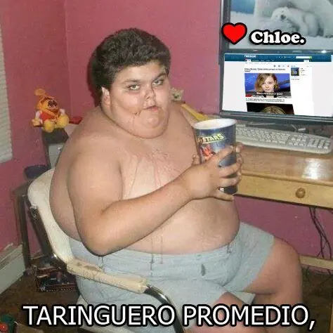 La vida de un taringuero