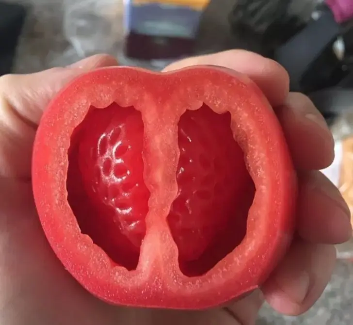 Cómo son por dentro? objetos que su interior te sorprenderán