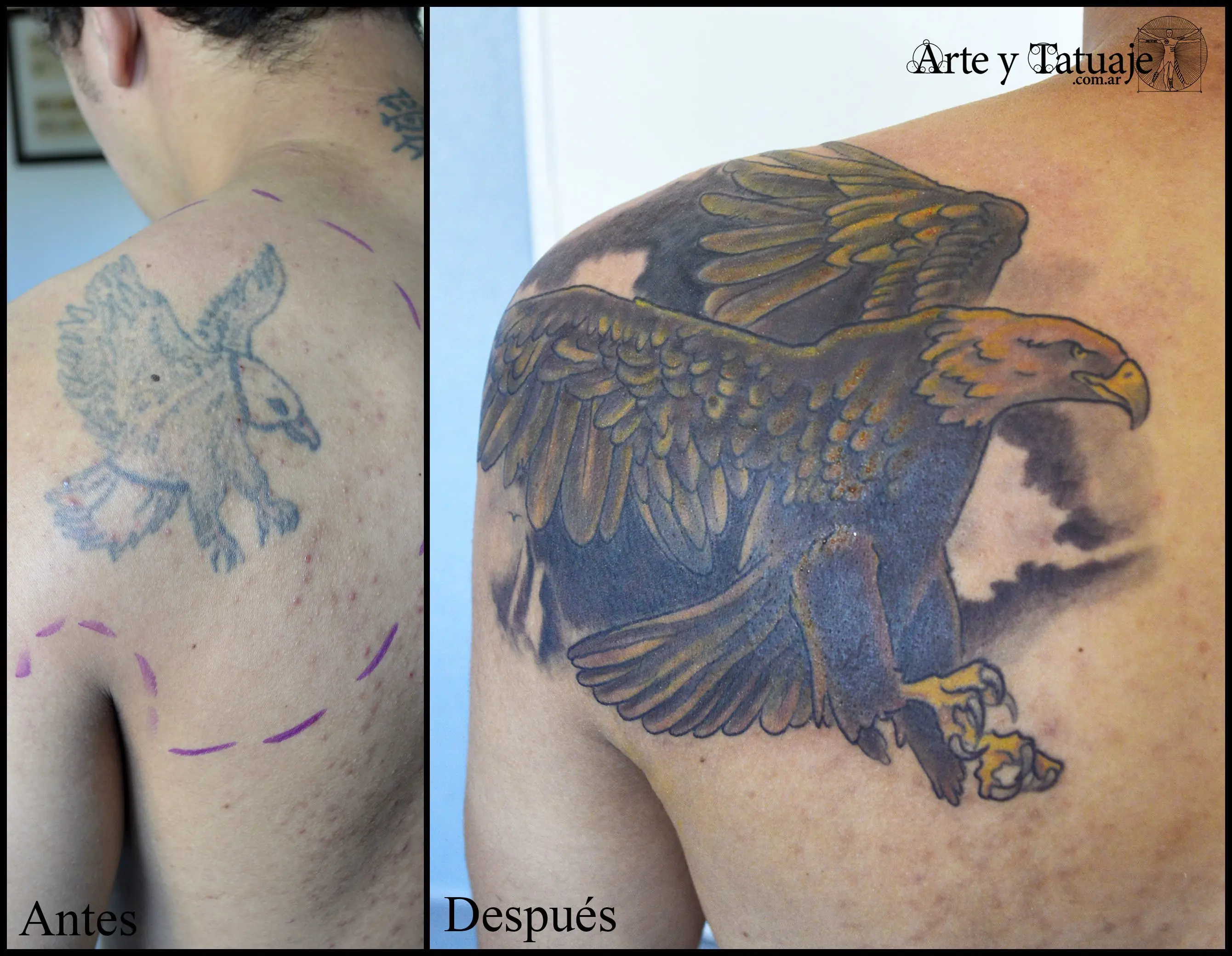 estudio tatuajes