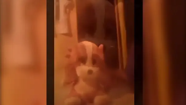 Impactante video aterrador de la niña y el peluche