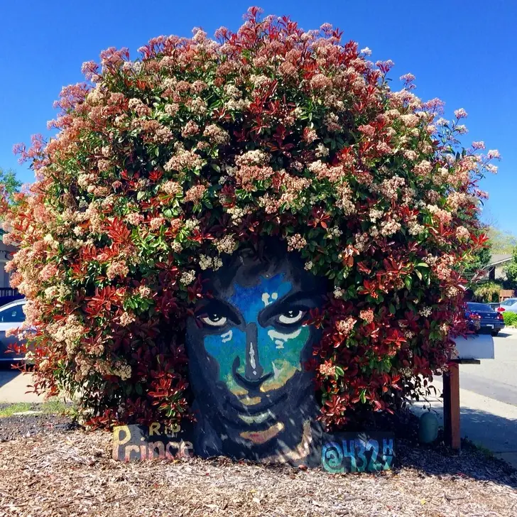 Arte urbano que no tienen nada que ver con vandalismo