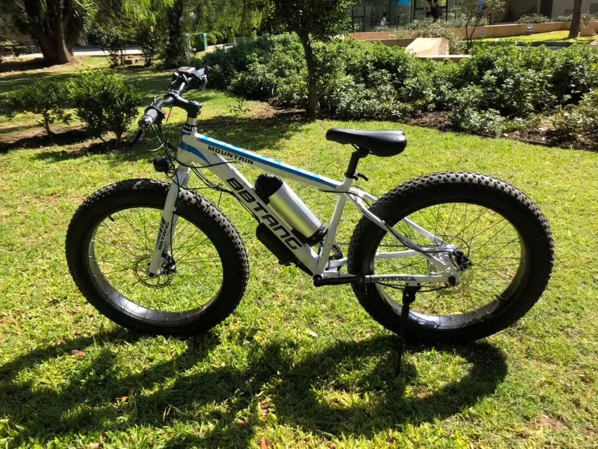 electric bike