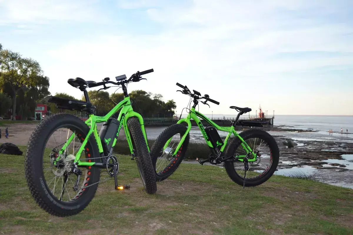 Bicicleta electrica