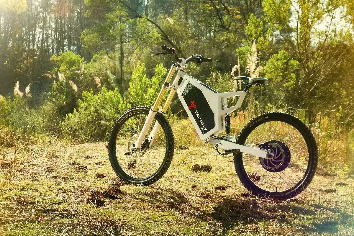 electric bike