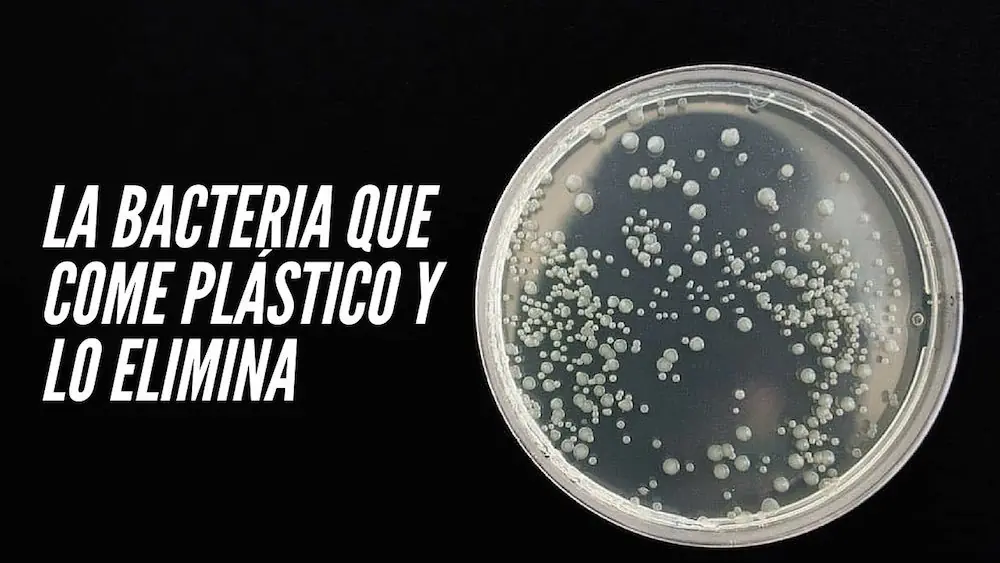 cientifico