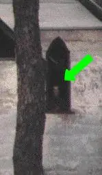 Fantasmas