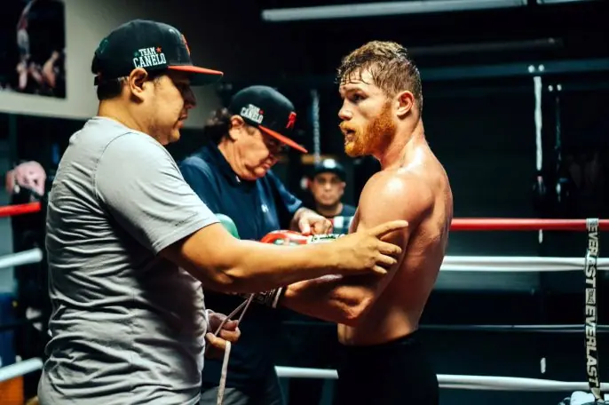 canelo