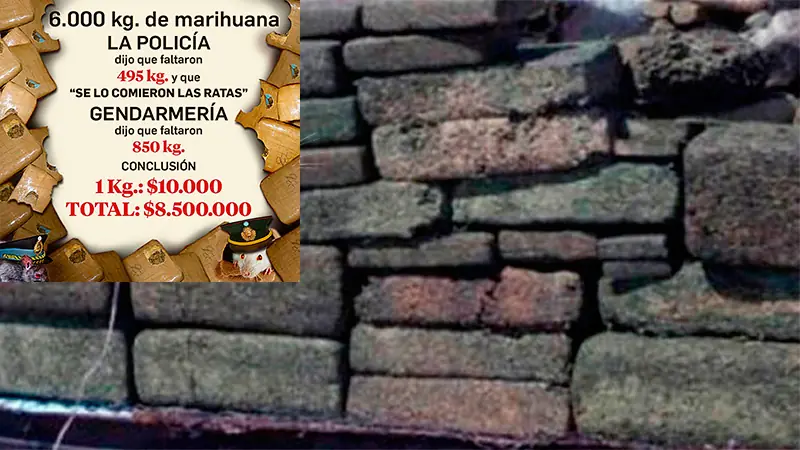 Drogas y ratas: Pericia dice que eran 850Kg y no 450