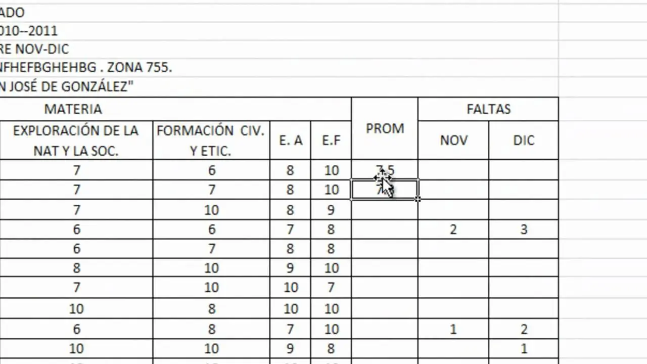 Formato
