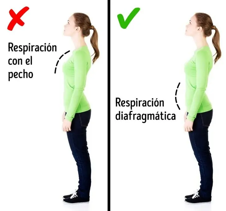 Cotidianas