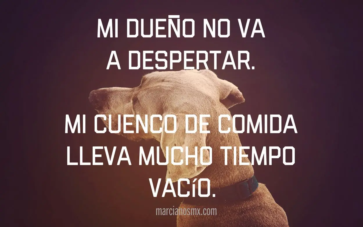 10 historias de profunda tristeza en dos frases 10 historias de profunda tristeza en dos frases