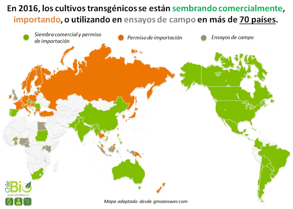 Países que no permiten el cultivo de transgénicos