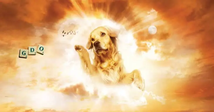 6 casos históricos de animales y religión