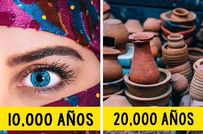 tomar