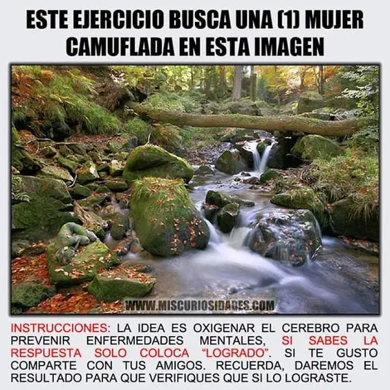 acerijos