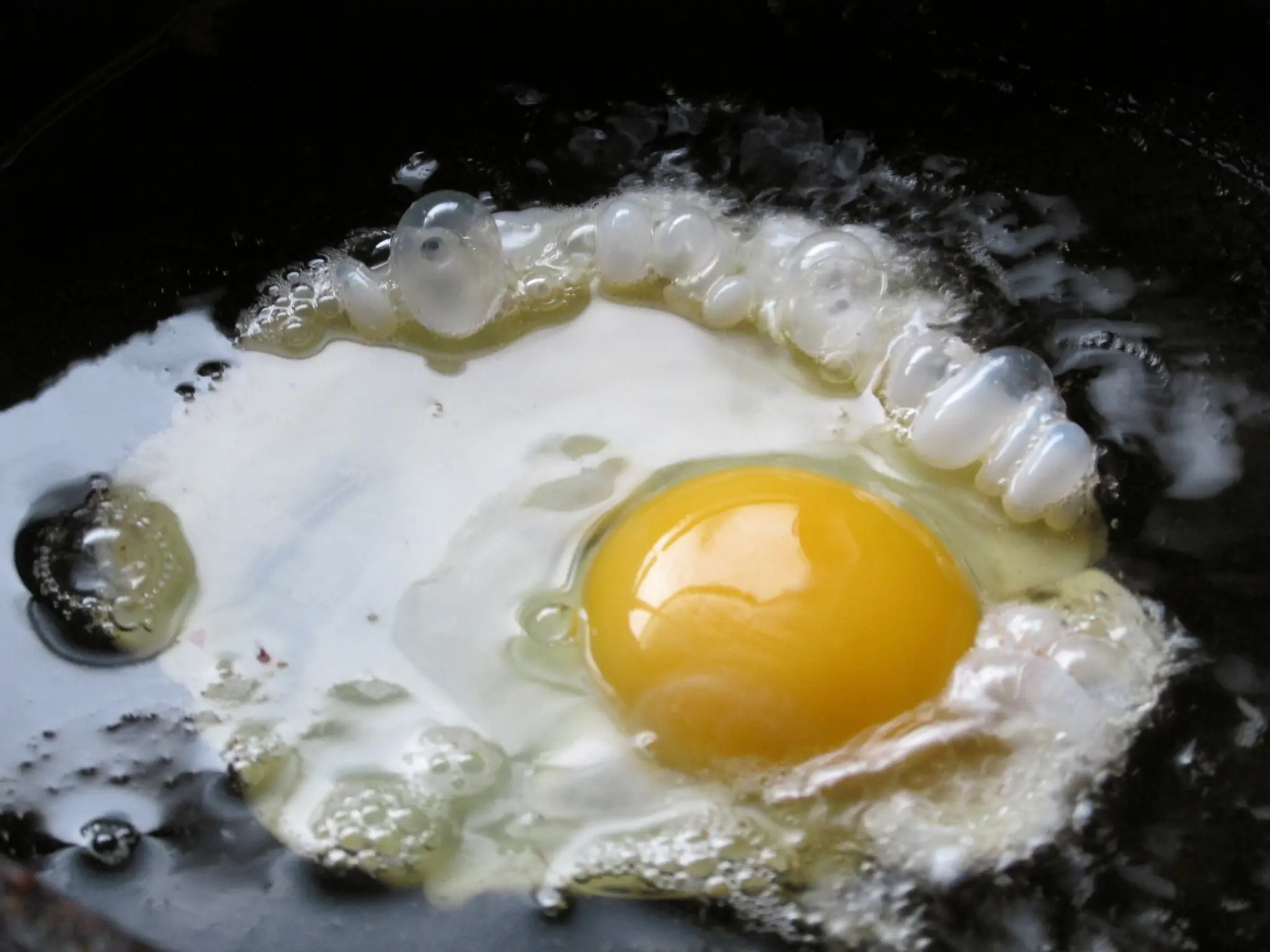 huevos huevos
