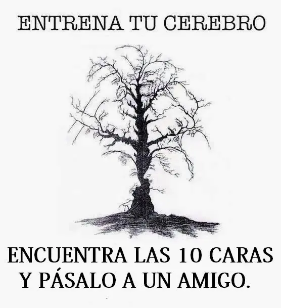 entretenimiento