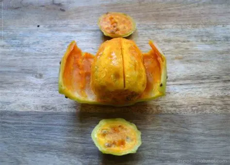 tuna