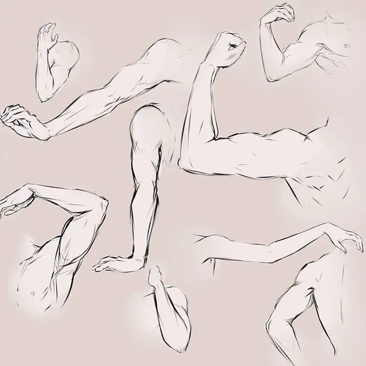 DIBUJO