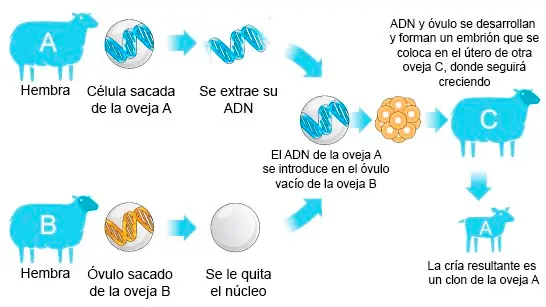 tecnologia tecnologia