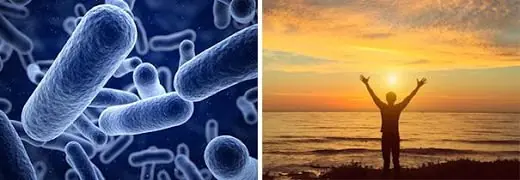 Científico se inyecta bacteria de hace 3,5 millones de años
