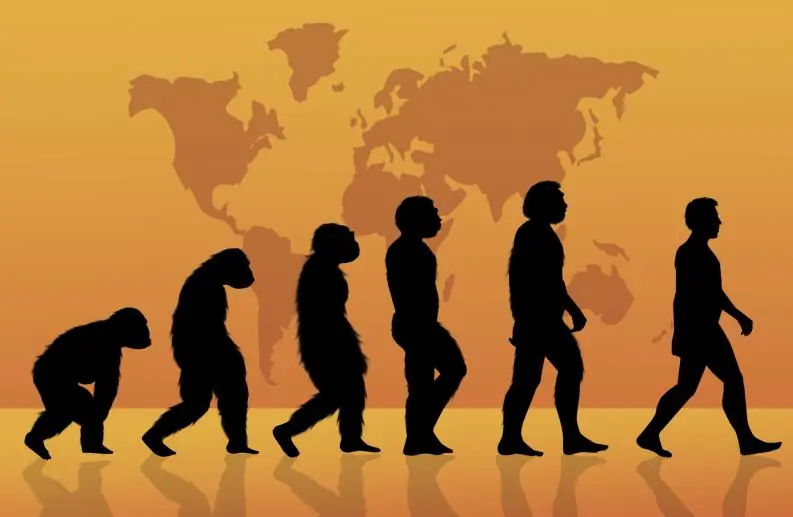 Mayores misterios de la evolución humana