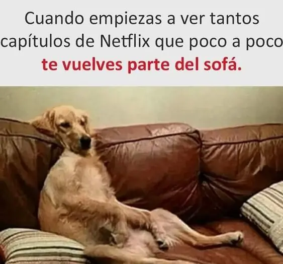 Humor especial para partirte de risa el fin de semana feliz