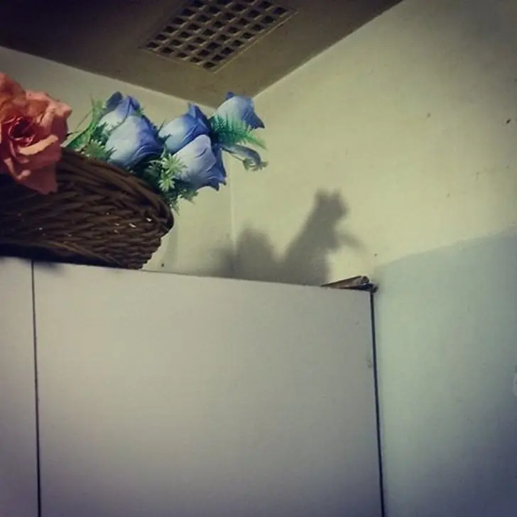 Sombras que tienen su propia versión en la realidad