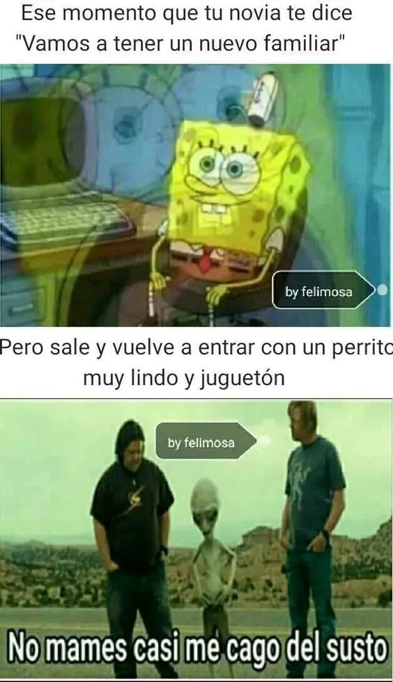 Fin de semana