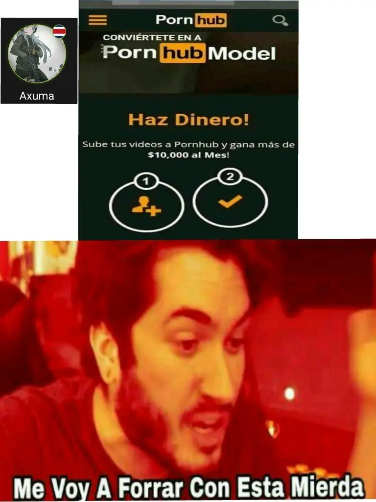 Nuevos
