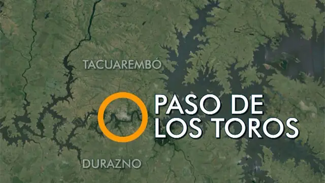 UPM Uruguay avanza proceso de instalación de nueva fábrica