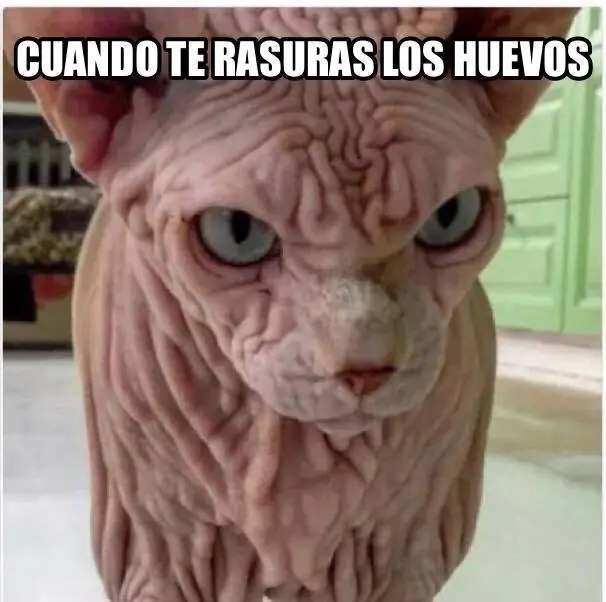Humor; El mejor Reventon de Memes de este Viernes..