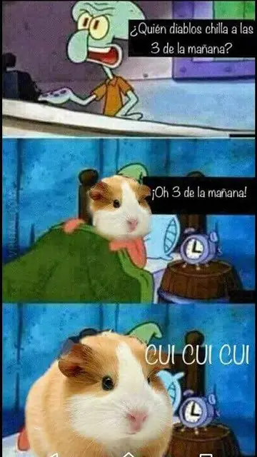 imposible