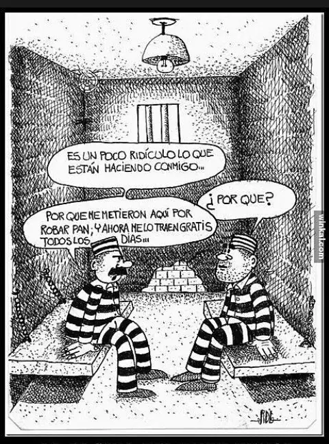 Humor nadador: Extremadamente bueno para gozar hoy viernes.