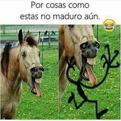 Especial