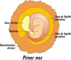 Estas a favor del aborto? Primero mira este post