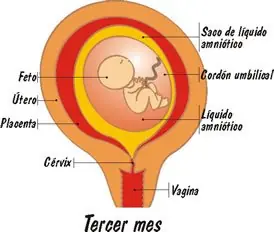 feminismo