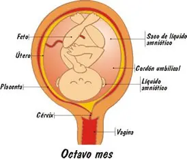 seguro