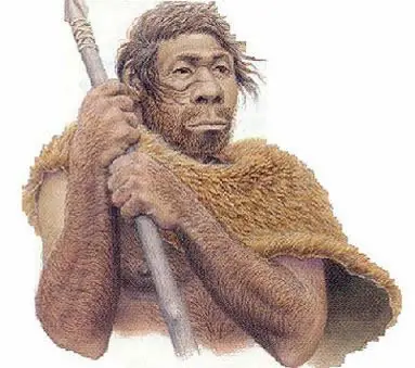 evolucion humana