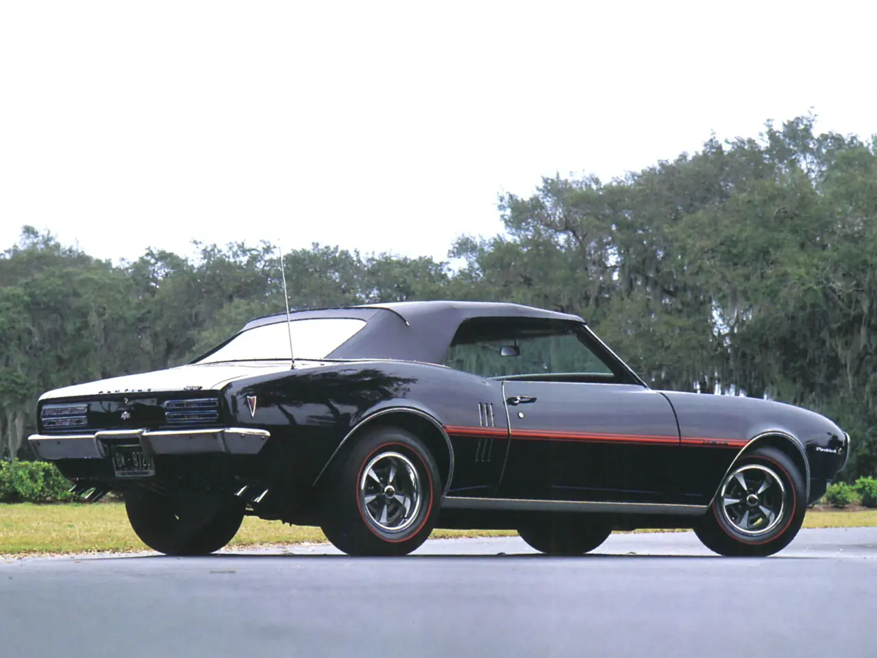 firebird