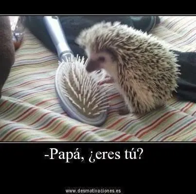 Humor! Memes y wtf bien relocos para ahogarte de la risa!