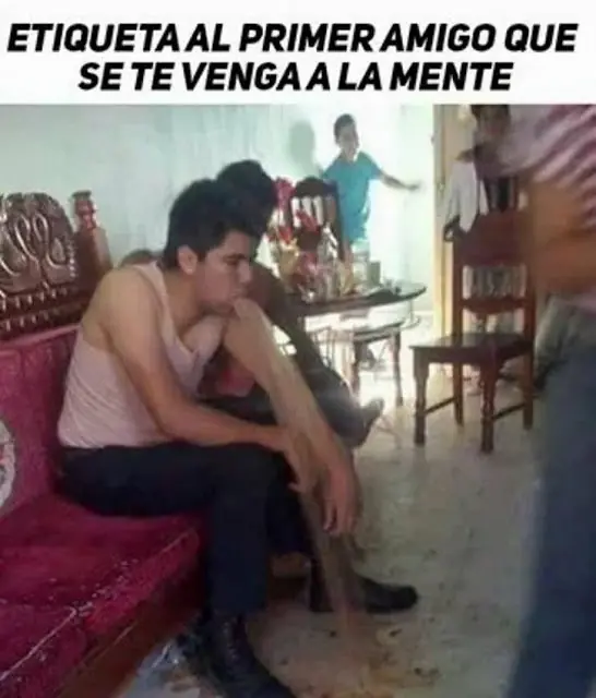 humores