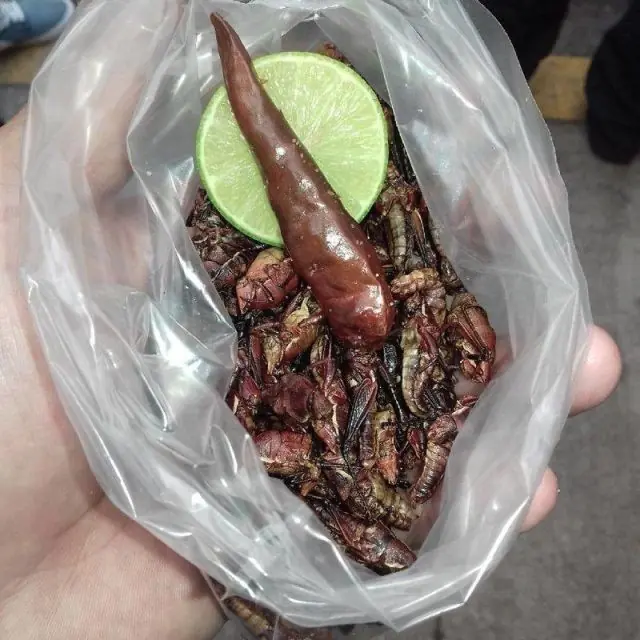 Te atreverias a comerte estos platos tipicos?