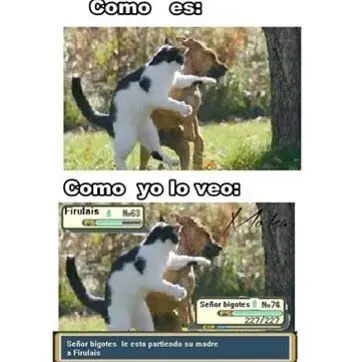 Memes