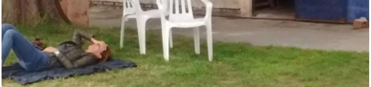 gato
