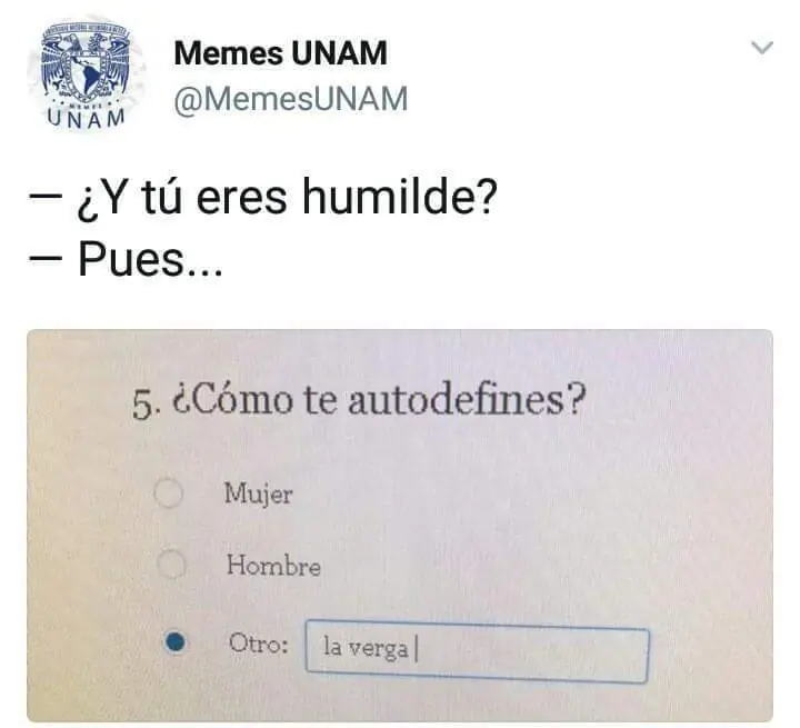 Memes que complacerán tus gusto para esta madrugada