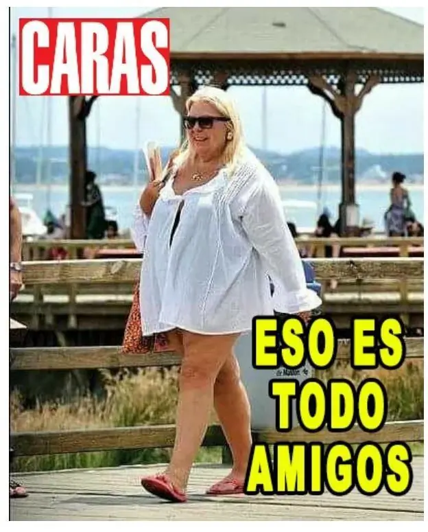 Las andanzas de Don Gato y su pandilla