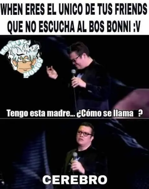 Humor